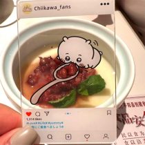 Chiikawa Acrylic Dinner Card (1)