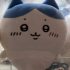 Chiikawa Cute Doll (5)