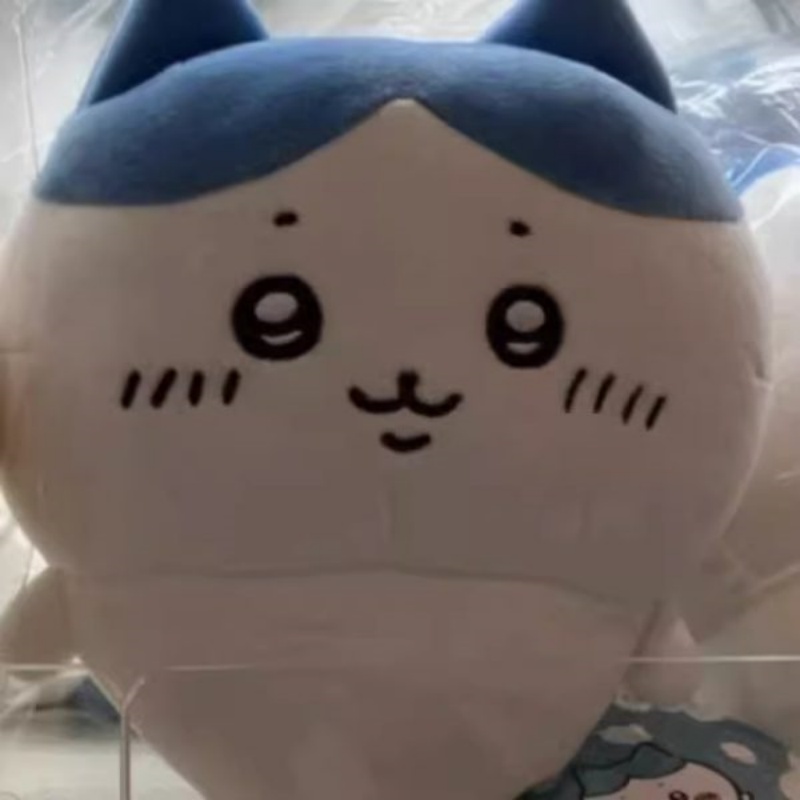 Chiikawa Cute Doll (5)