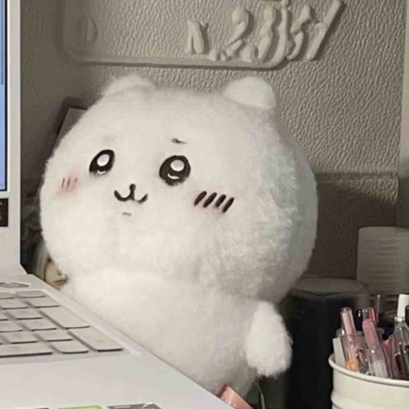 Chiikawa-Doll-Pillow-Bear-1 (6)