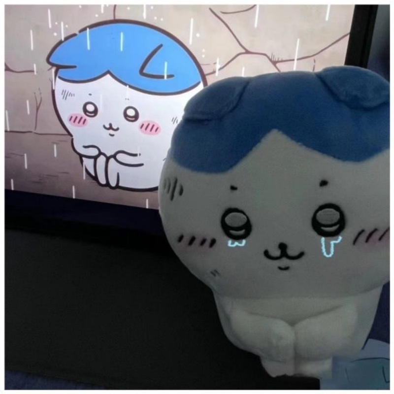 Chiikawa Expression Aggrieved Hachiware Plush Pendant (2)