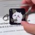 Chiikawa Lenticular Card Keychain