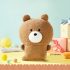 Chiikawa Bear Plush Dolls (3)