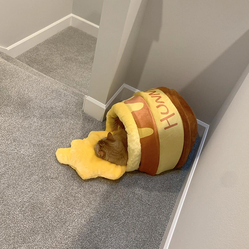 Warm And Closed Plush Honey Jar Cat Nest (1)