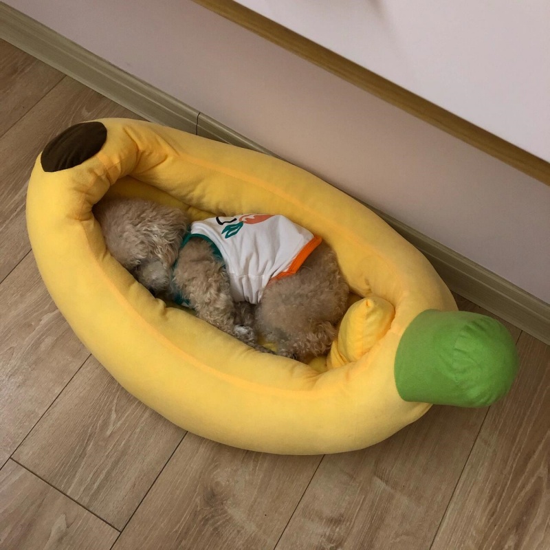Warm And Closed Plush Honey Jar Cat Nest (7)