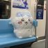 Chiikawa Doll Extra Large Plush Toy (4)